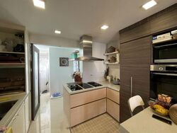 Parc Palais (D21), Condominium #503673421